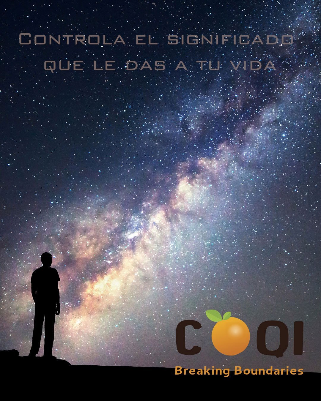 CoQI Introspección