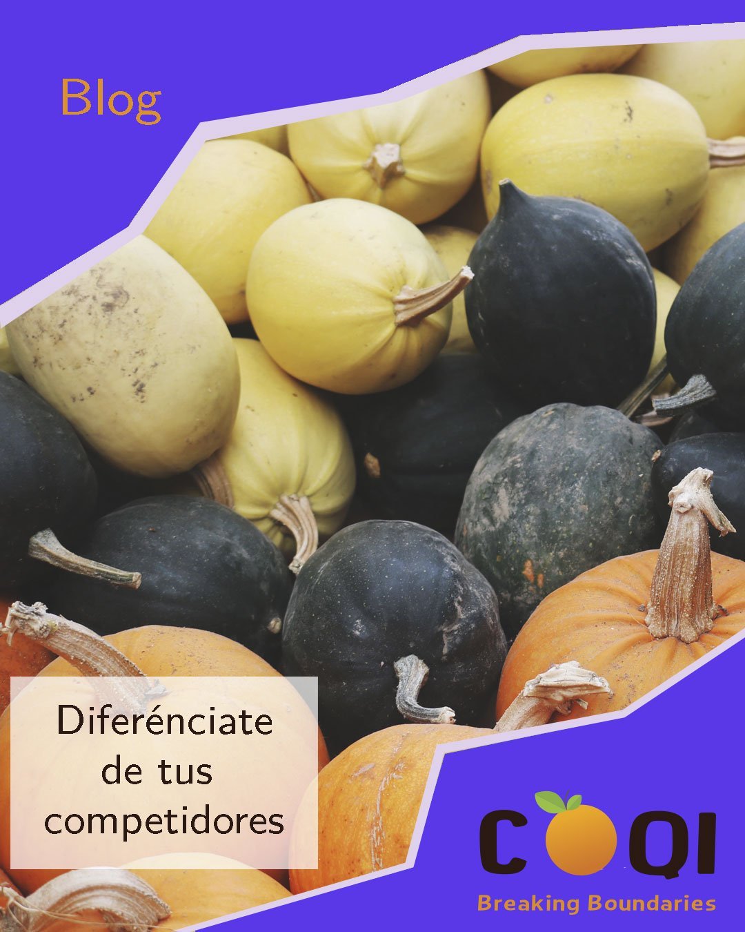 CoQi frutas