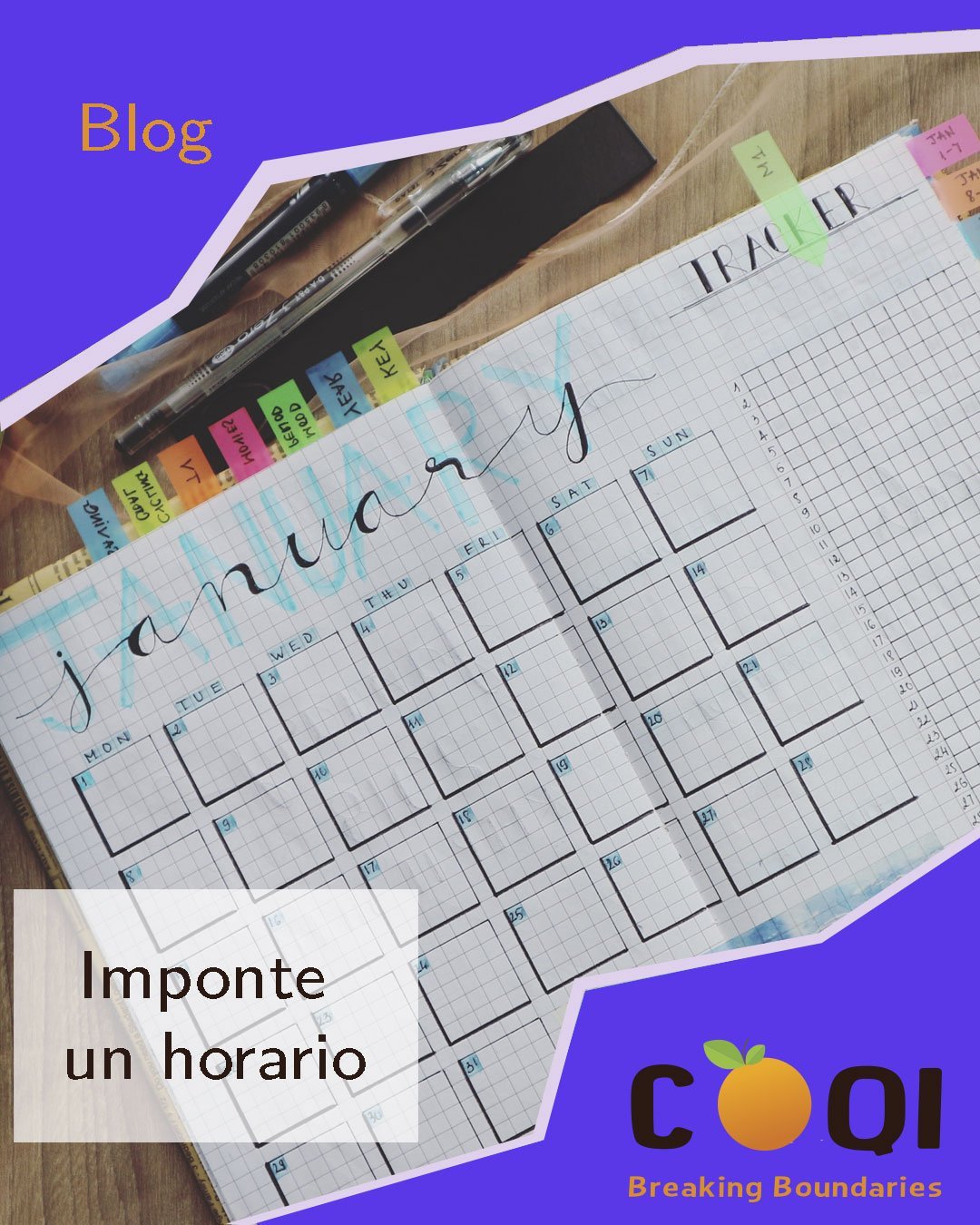 CoQI agenda